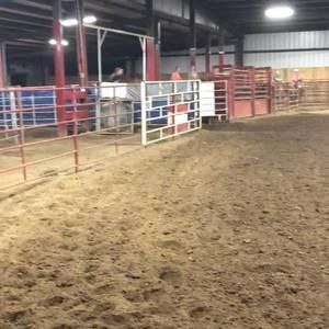 Meet your Posher, Rodie